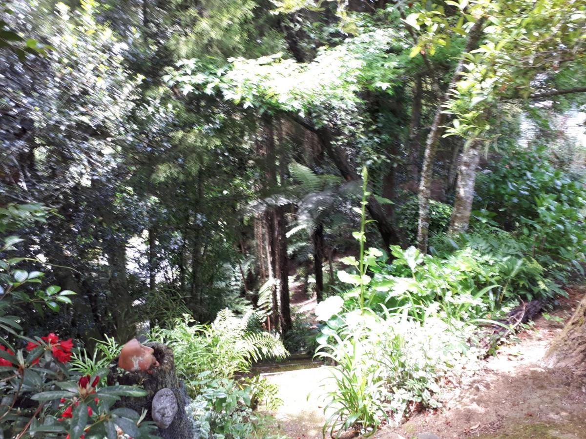Rangaroa Heights Bed & Breakfast Taumarunui Ngoại thất bức ảnh