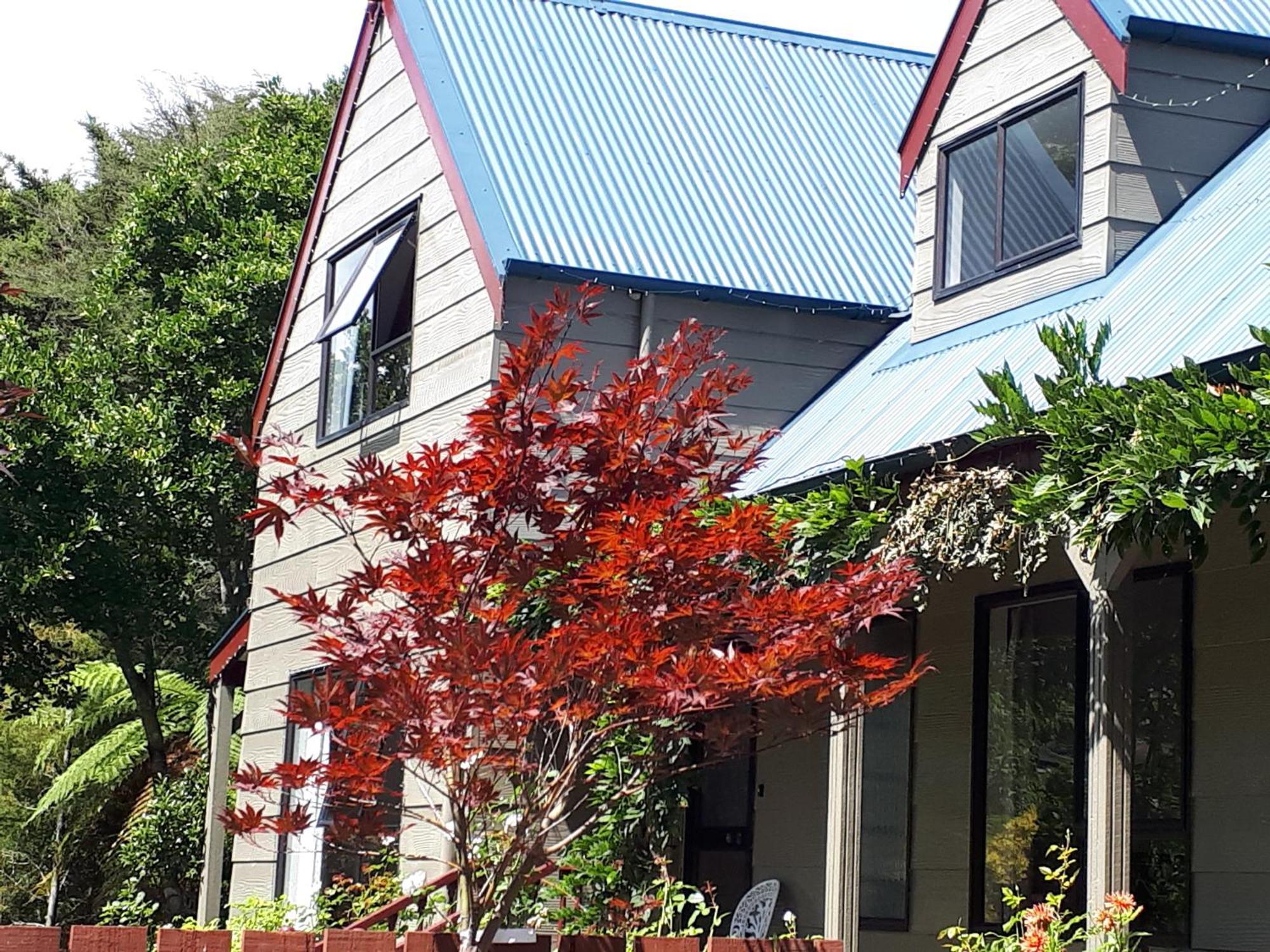 Rangaroa Heights Bed & Breakfast Taumarunui Ngoại thất bức ảnh