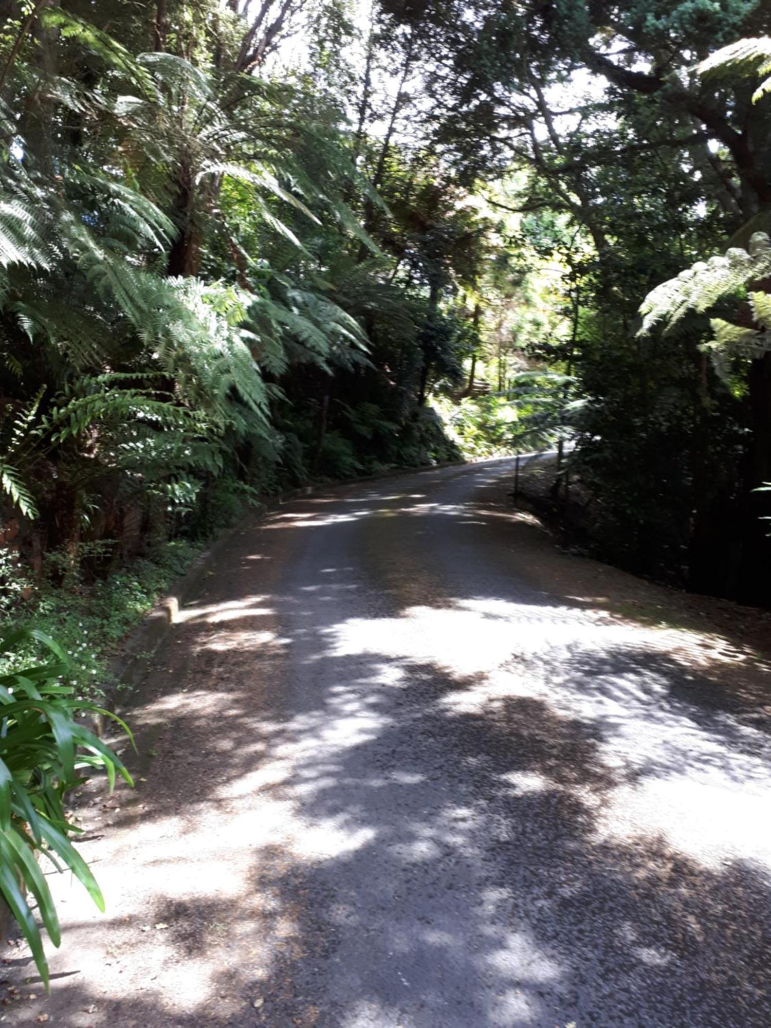 Rangaroa Heights Bed & Breakfast Taumarunui Ngoại thất bức ảnh